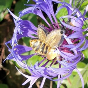 Beautiful Bee Keyring