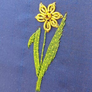 Spring Daffodil
